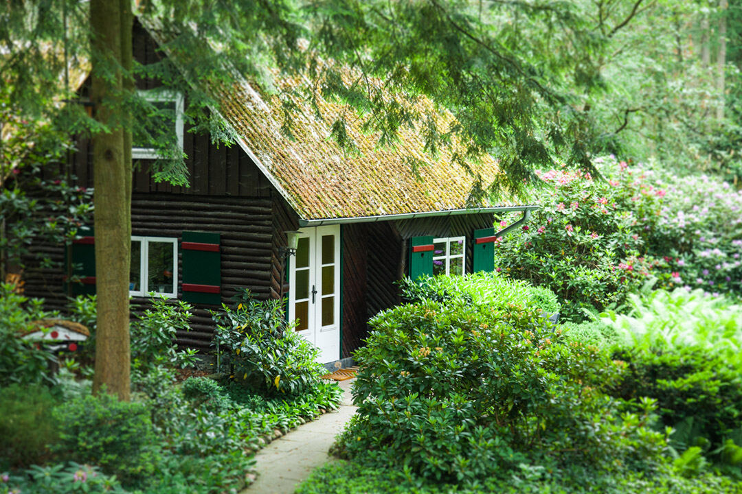 Holz-Ferienhaus mit grünen Fensterläden, umgeben von Bäumen und Sträuchern